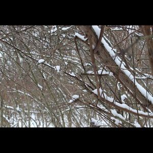 Meet your Posher, Isabelle